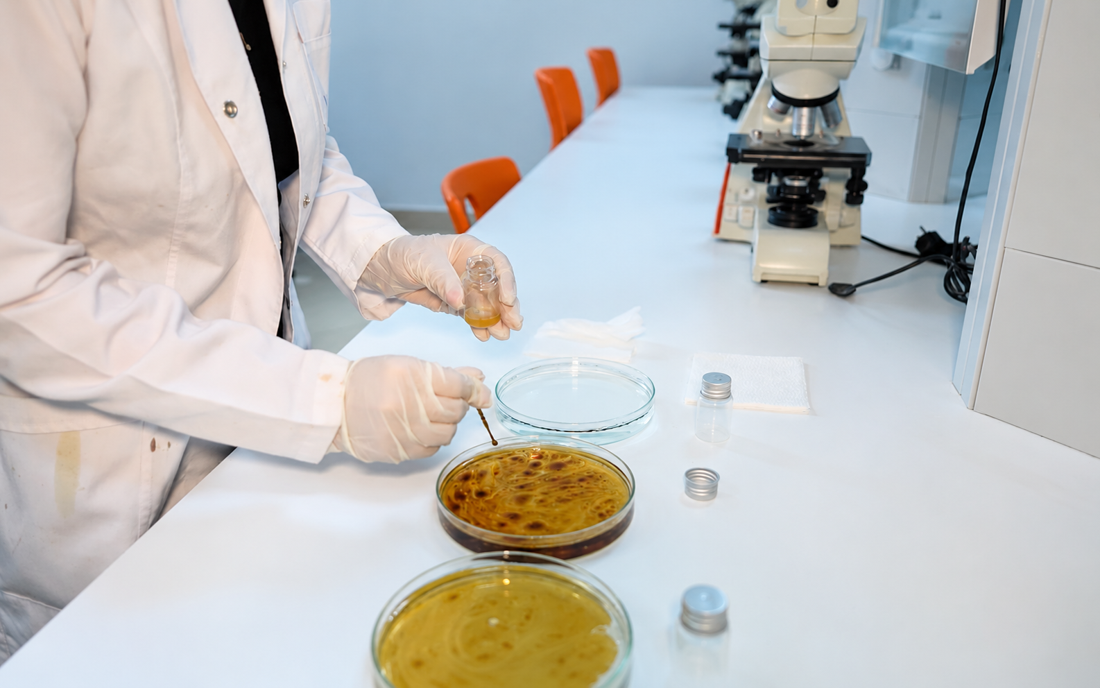 Clean Caspian completes first phase of oil spill remediation research